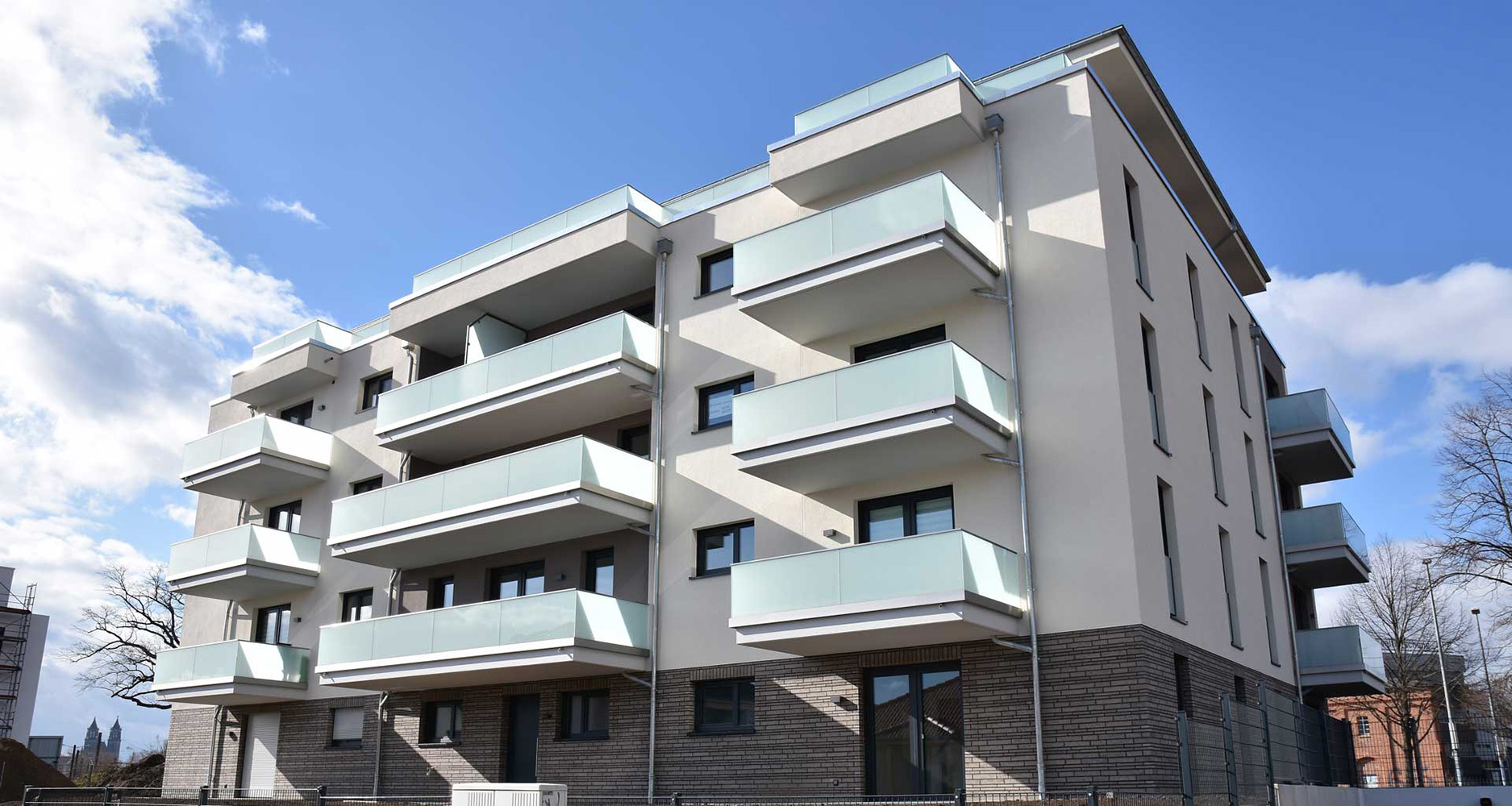 Aktuelle Projekte Zuckerbusch